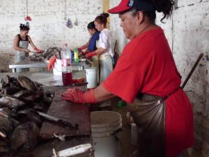 mex-09_pedroza-1
