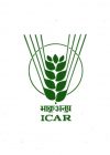 icar logo icar logo